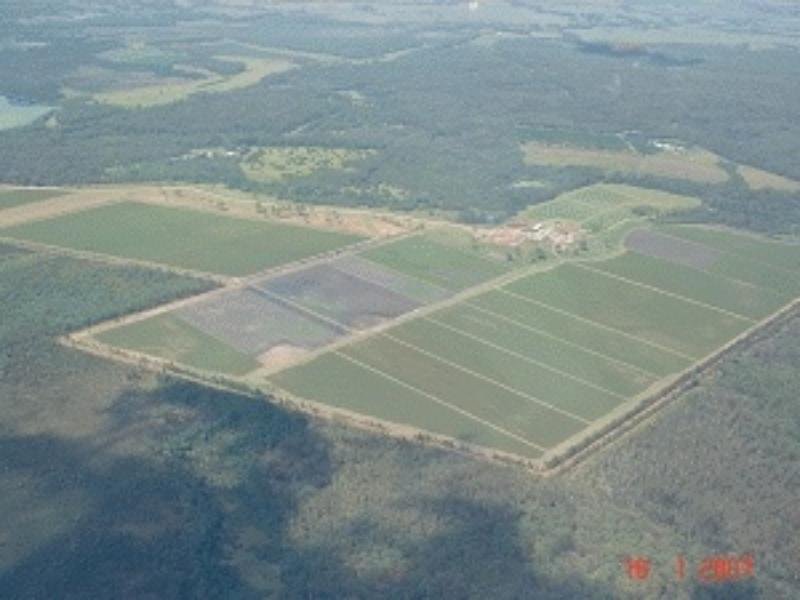 995 Myall Creek Road, Bora Ridge, NSW 2471