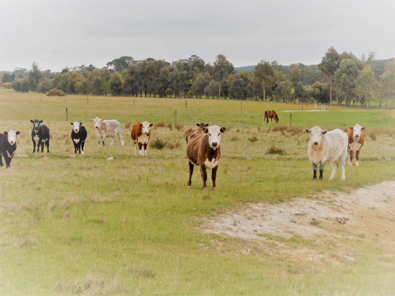 Cnr Settlement Road/ Drews Lane, Elaine, Vic 3334 Property Details