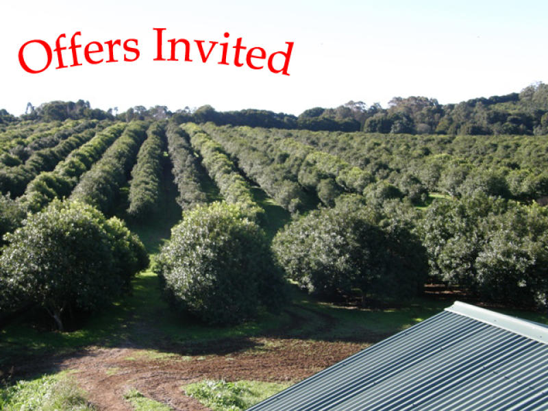 460 Eureka Road, Eureka, NSW 2480