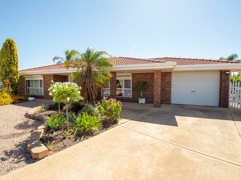 9 Mcbride Court, Risdon Park, SA 5540