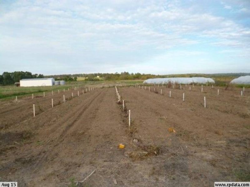 146 Davis Lane, Pitt Town Bottoms, NSW 2756