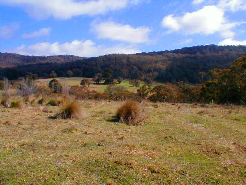 Delegate River, Delegate, NSW 2633 Property Details