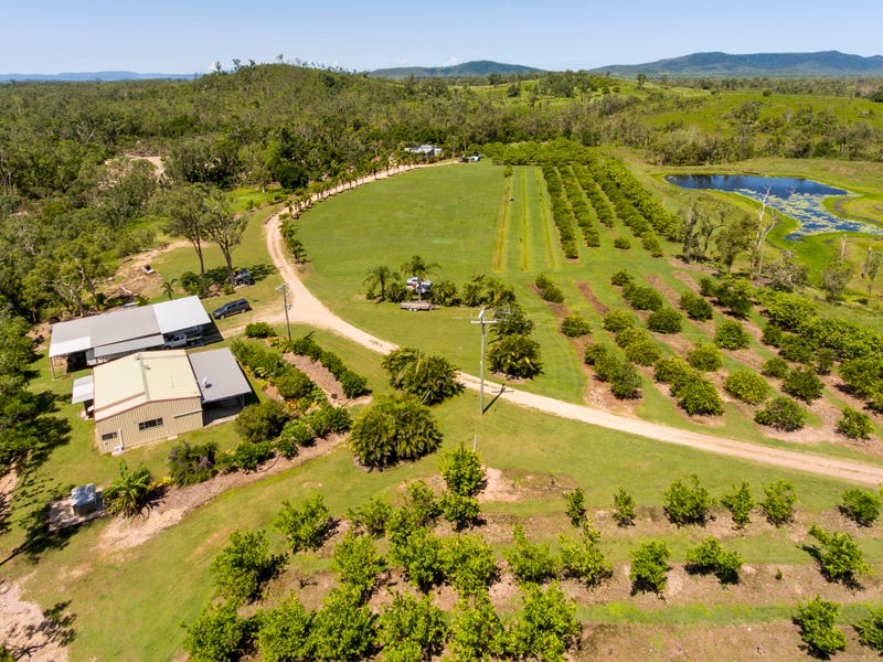 220 Staffords Road,, Bloomsbury, Qld 4799 Property Details