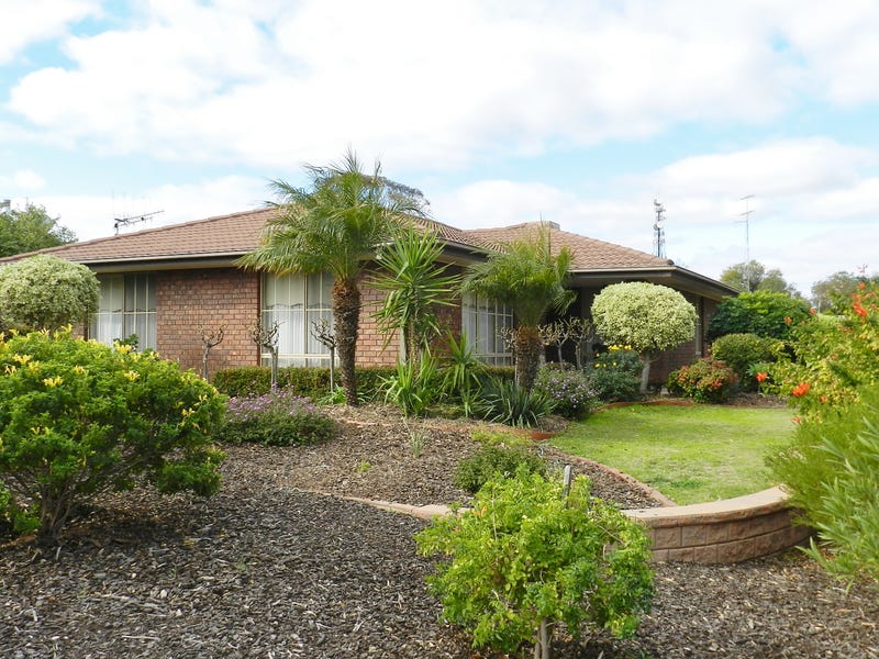 1 Guy Street, Berri, SA 5343 Property Details