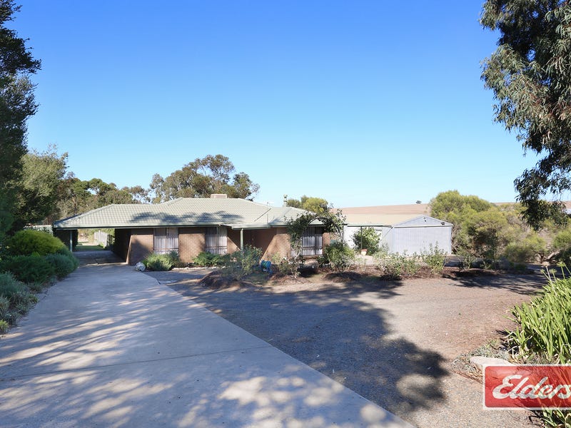 37 Koncke Street, Greenock, SA 5360 Property Details