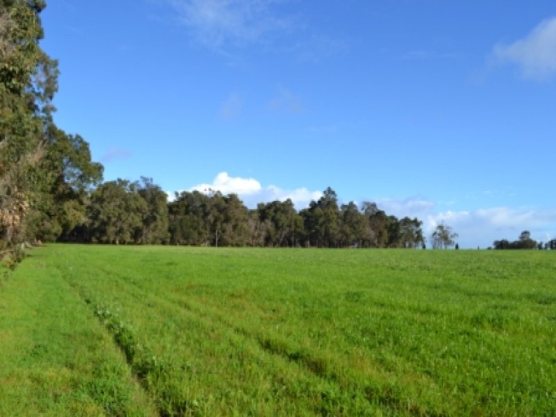 Lot 50 JindongTreeton Rd, Treeton, WA 6284 Property Details