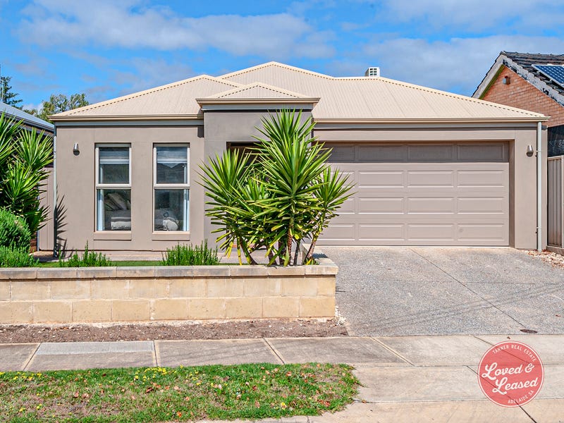 44A Harvey Avenue, Netley, SA 5037