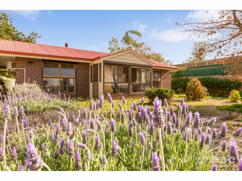 9 Randall Street, Mannum, SA 5238 House for Sale