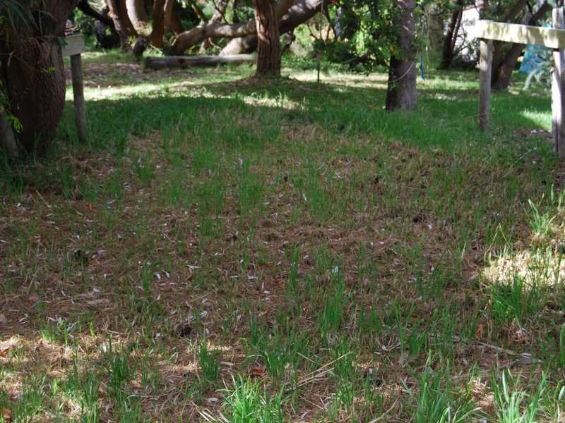 90 Viminaria Road, Harmers Haven, VIC 3995