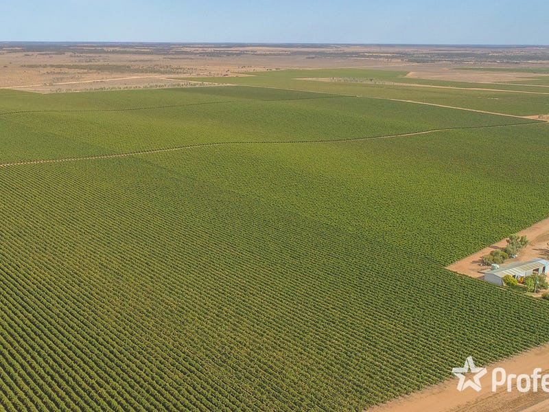 347 Lower Darling Road, Wentworth, NSW 2648 Property Details