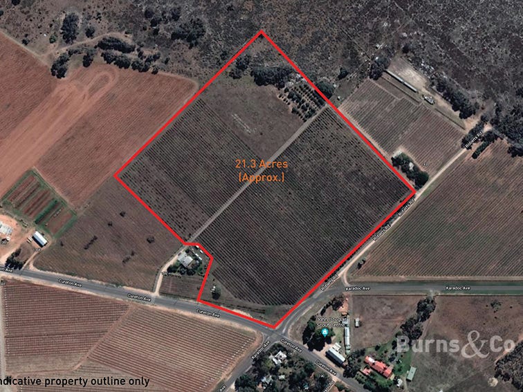 159 Cureton Avenue, Nichols Point, VIC 3501