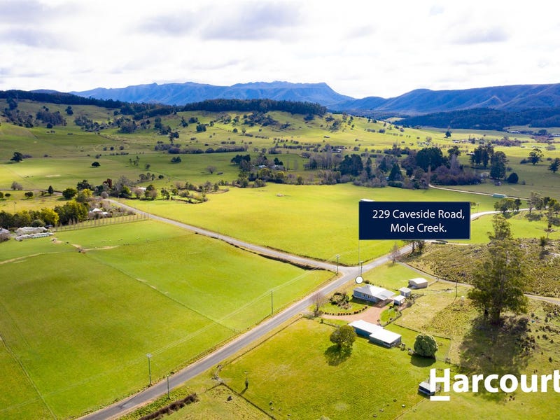229 Caveside Road, Mole Creek, Tas 7304