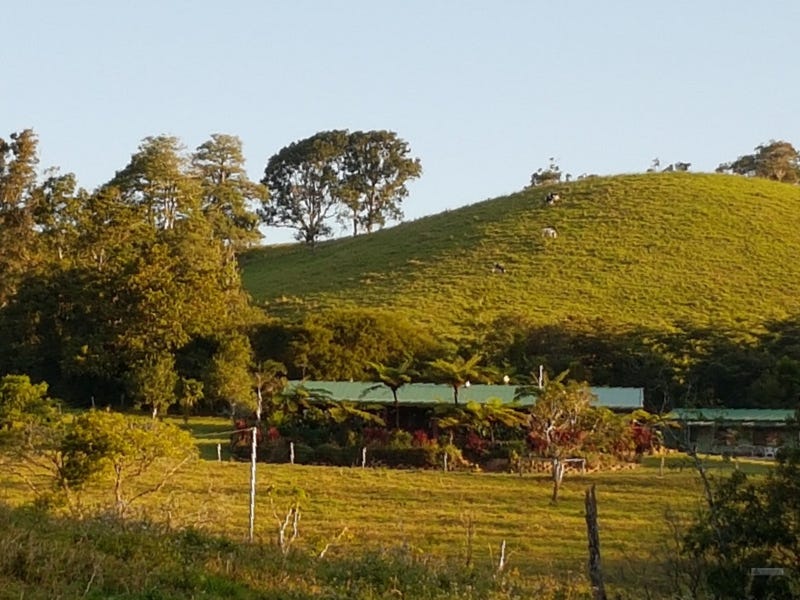 Millaa Millaa address available on request Acreage for Sale 131814622