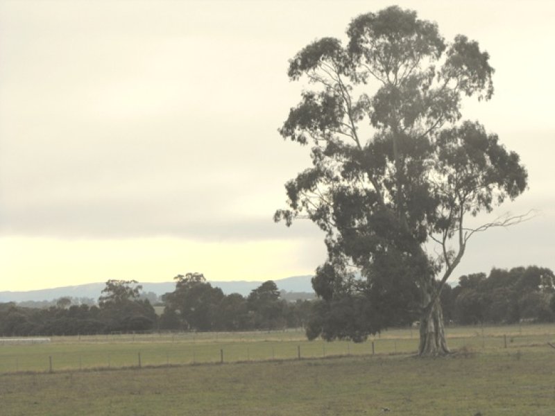 73 Rhodes Rd, Darnum, Vic 3822 Property Details