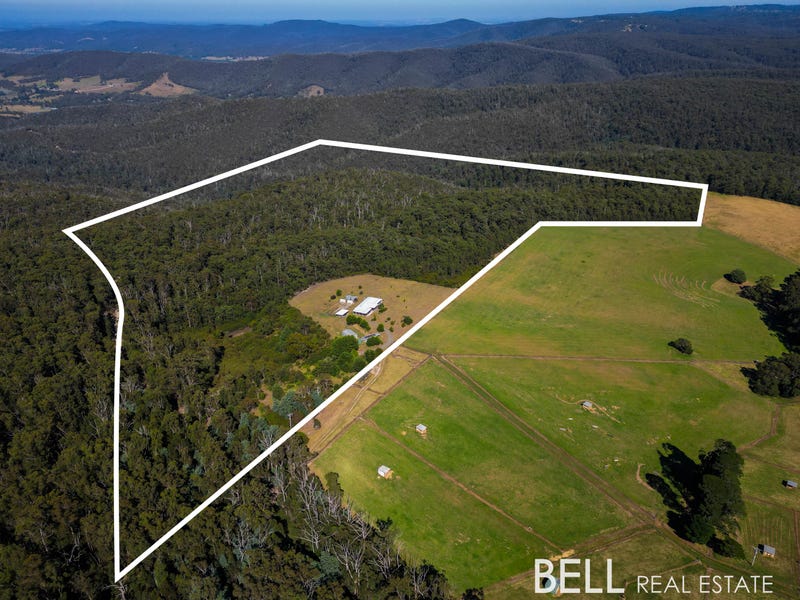 90 Old Toolangi Dixons Creek Road, Toolangi, Vic 3777 House for Sale