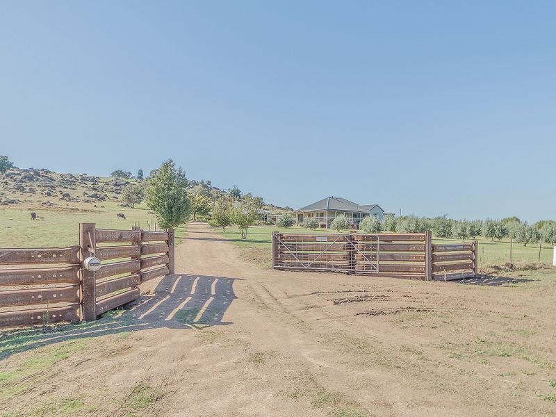 2415 Darby's Falls Road, Cowra, NSW 2794 Property Details