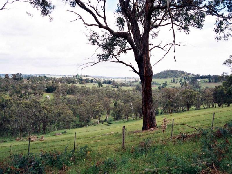 985 Wellington Road, Belgrave South, VIC 3160 - realestate.com.au
