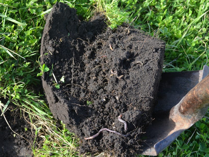 Real Estate & Property for Sale in SA (+1 location) Pg. 29 realestate