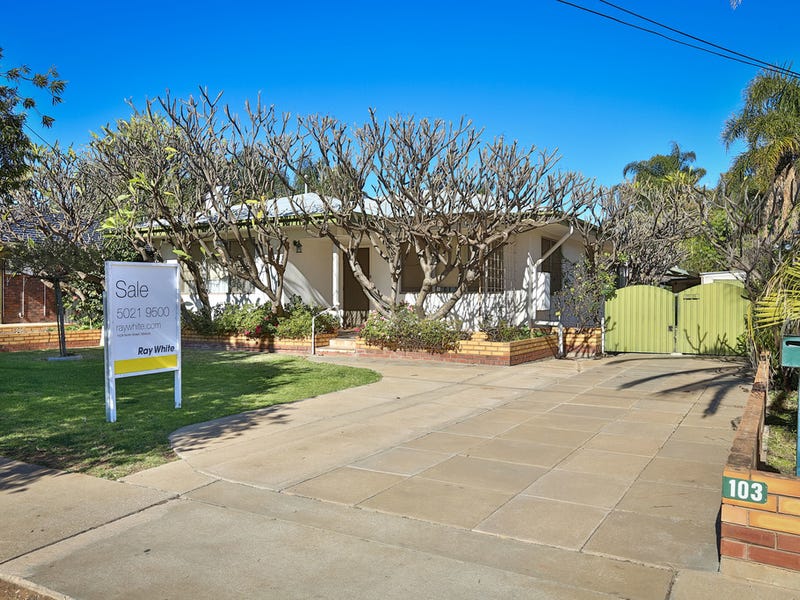 103 Eleventh Street, Mildura, Vic 3500 Property Details