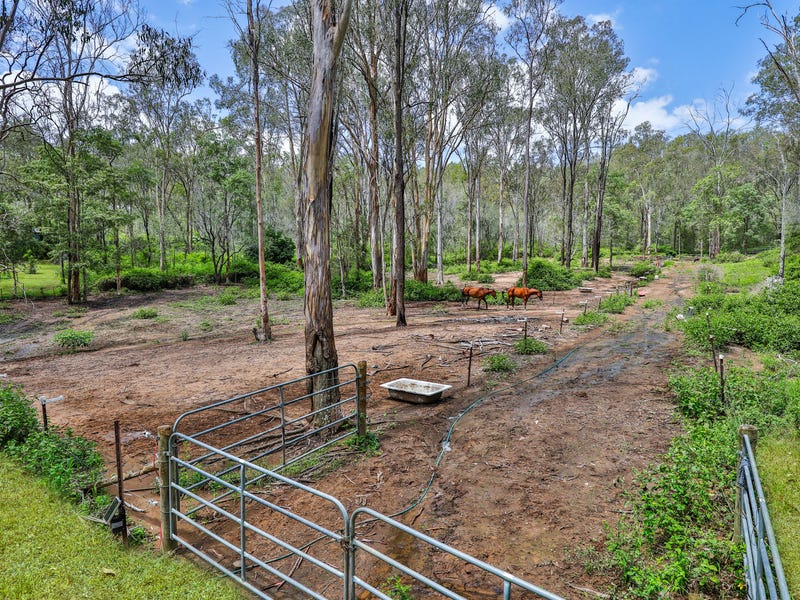 3139 Eucalypt Road, Logan Village, Qld 4207 Acreage for Sale