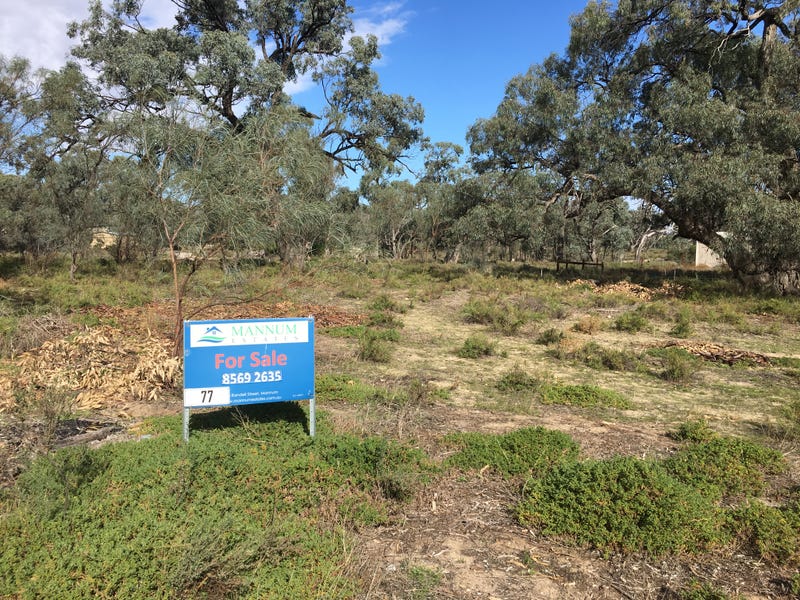 77 Page Drive, Blanchetown, SA 5357