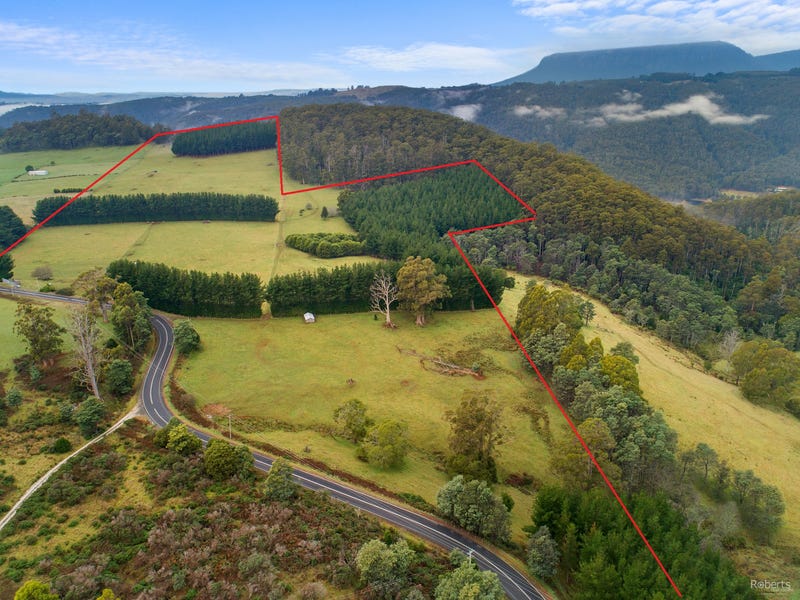 265 Cradle Mountain Road, Wilmot, TAS 7310