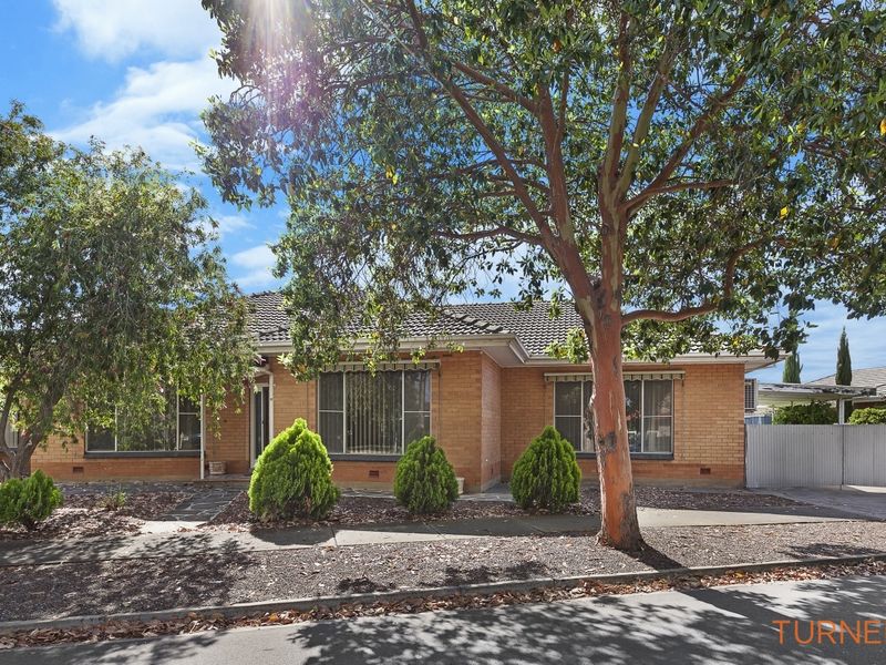 17 Avenue, Glynde, SA 5070