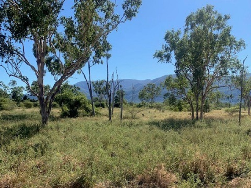 2991 Woodstock Giru Road, Woodstock, QLD 4816