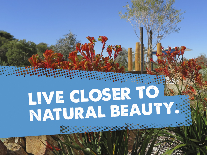 Lot 101 Exbury Lane, Success, WA 6164 Property Details