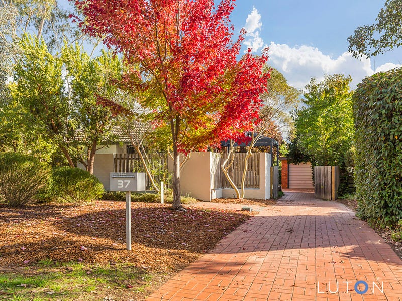 37 Williams Street, Watson, ACT 2602