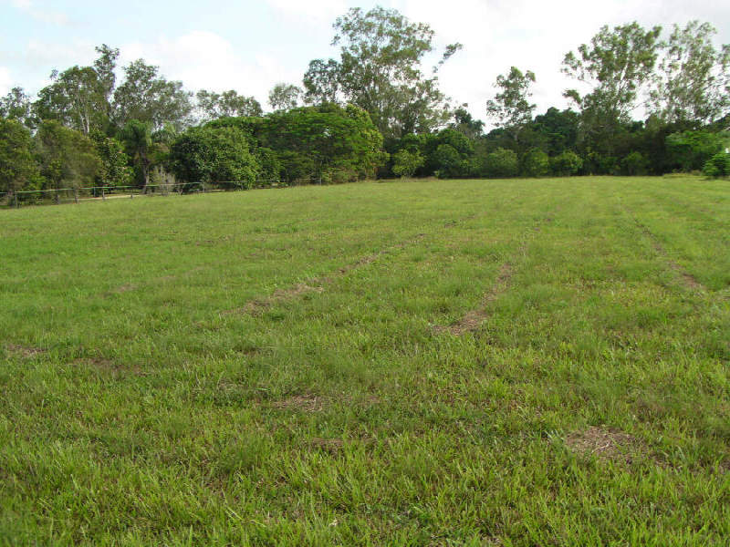 Abergowrie Road, Ingham, Qld 4850 Property Details