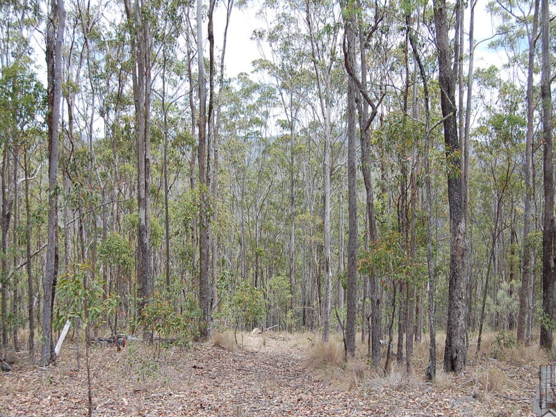 Lot 70 Fairfield Road, Drake, NSW 2469 Property Details