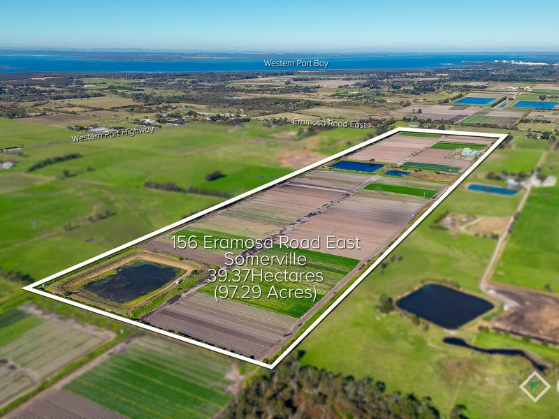 156 Eramosa Road, Somerville, Vic 3912 House for Sale