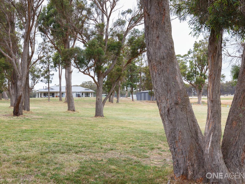 9 Charlies Lane, Carrick, TAS 7291 - realestate.com.au