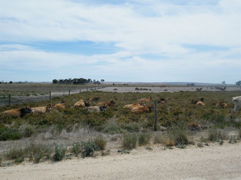 Sale Lot 2 Waltowa Road, Meningie, SA 5264 Property Details