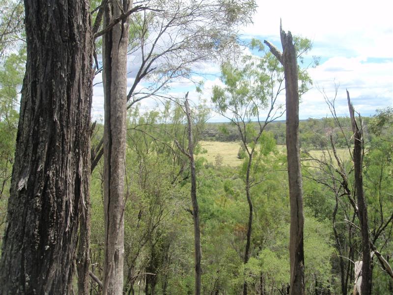 Lot 11 Pine Ridge Road, Condamine Farms, QLD 4357
