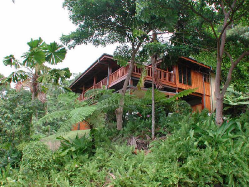 1 Rykers Road, Cape Tribulation, Qld 4873