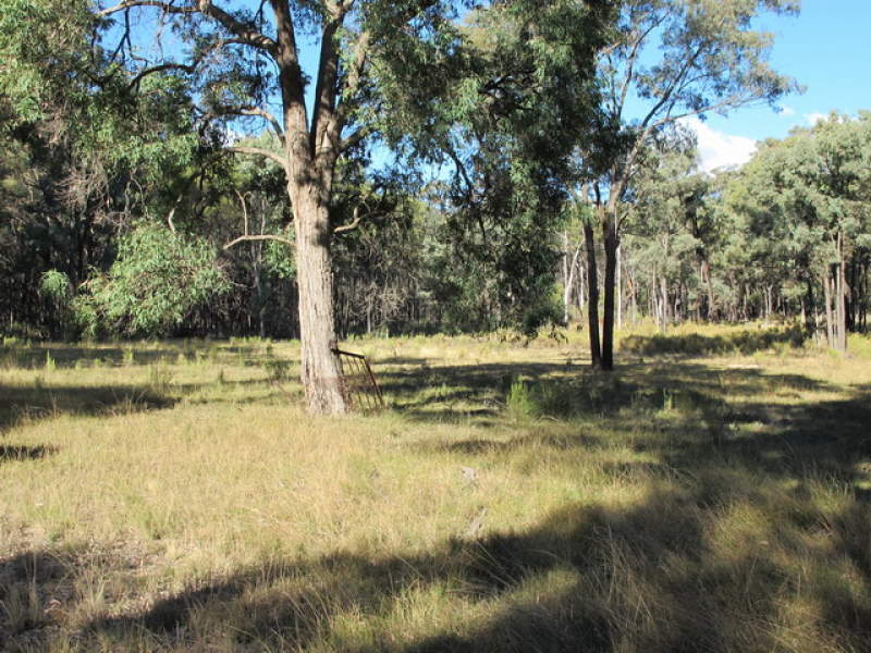 Property 7320756, Gulgong, NSW 2852 Property Details