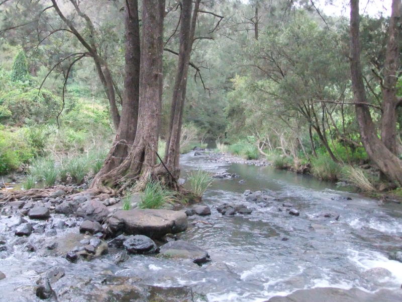 1108 Eden Creek Road, Upper Eden Creek, NSW 2474