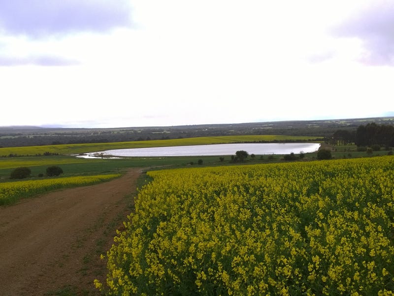 Rural properties for Sale in Mount Barker, WA 6324