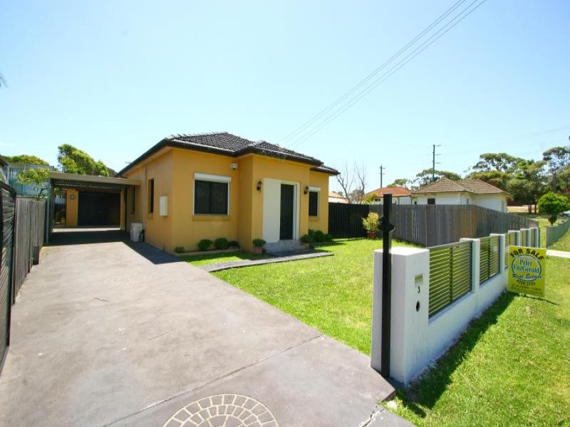 3 Hoskins Avenue, Warrawong, NSW 2502