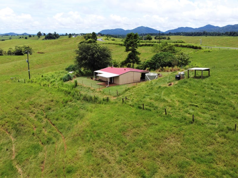 2522 Palmerston Highway, East Palmerston, QLD 4860