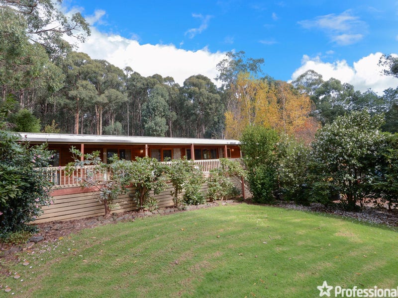 56 Big Pats Creek Road, East Warburton, VIC 3799