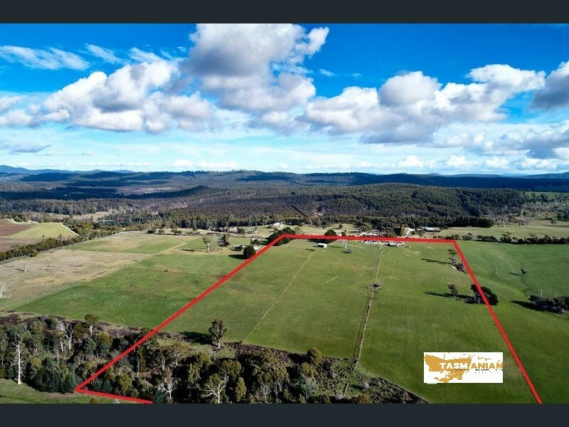 3006 Pipers River Rd, Pipers River, Tas 7252