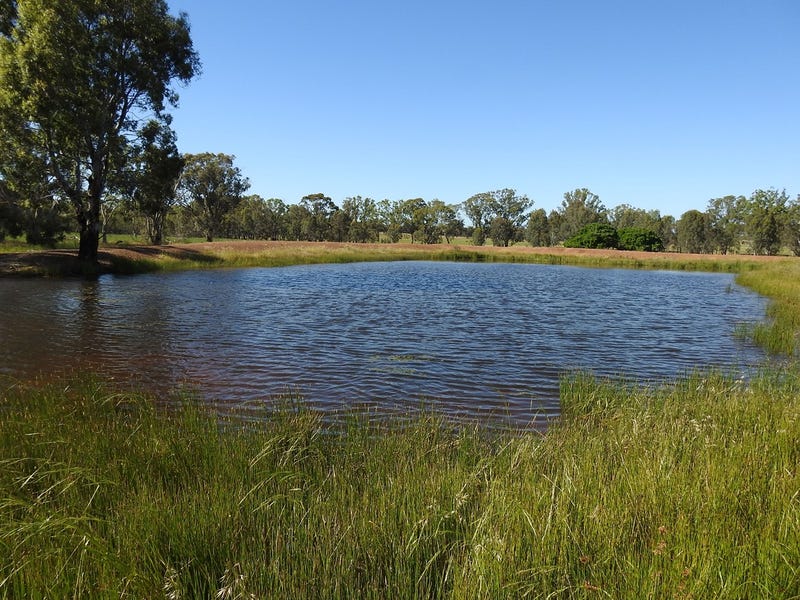 1537 Dookieviolet Town Road, Earlston, VIC 3669