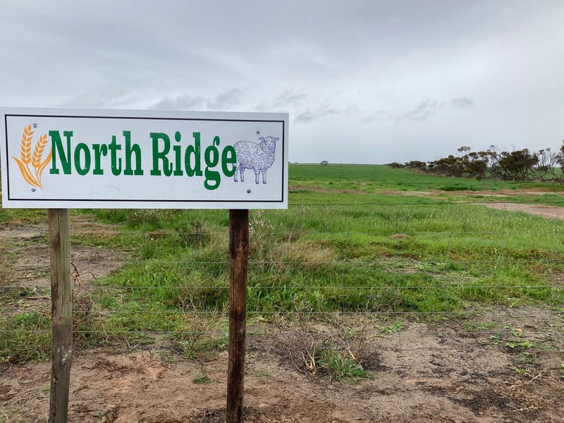 Rural properties for Sale in Port Neill, SA 5604