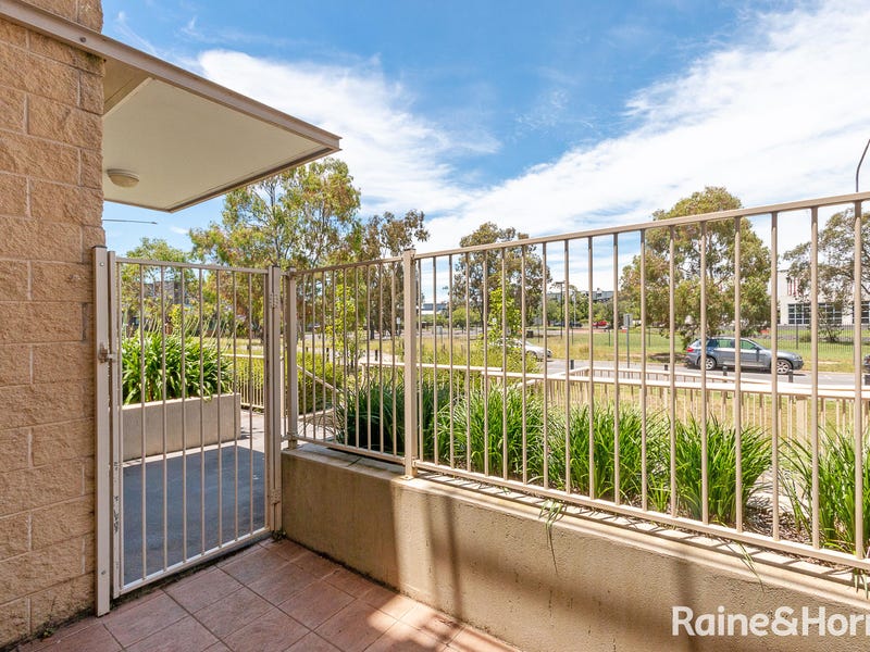 16/31 Thynne Street, Bruce, ACT 2617 House for Rent
