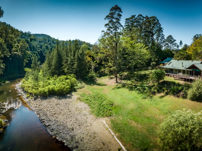 1498 Darkwood Road, Bellingen, NSW 2454 Other for Sale realestate