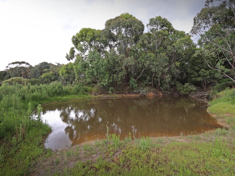 537 Broadleaf Park Road, Rosewood, NSW 2652