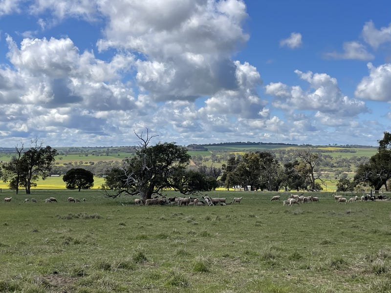 LOT 801 ROSE VALLEY COURT, Dandaragan, WA 6507 - Property Details